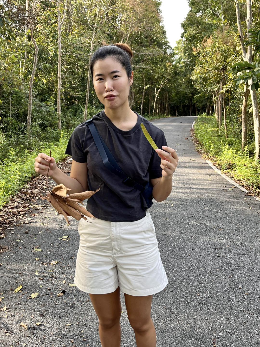 อุทยานเจ็ดคตในวันที่ลมแรง